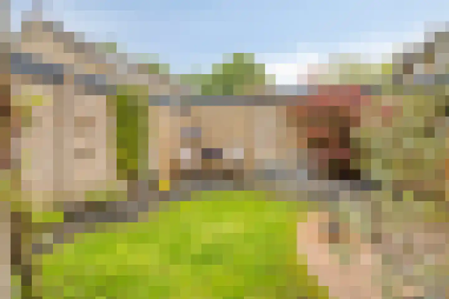 Markeweg 67 Losser thumbnail 39