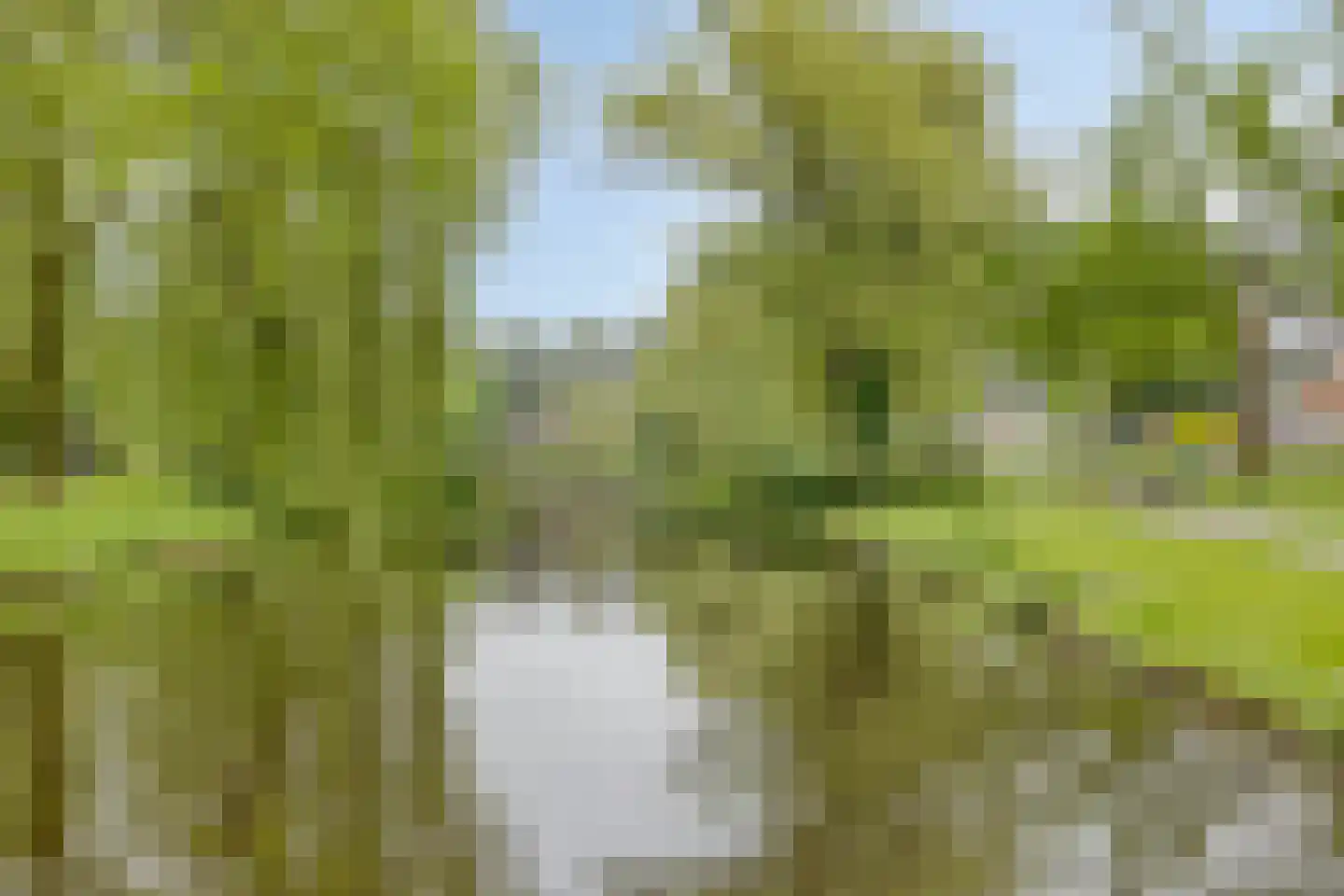 Markeweg 67 Losser thumbnail 43