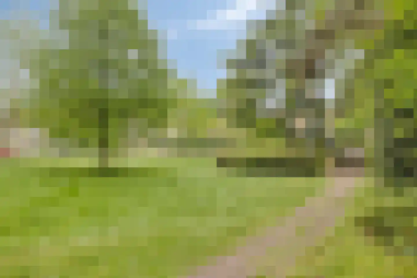 Markeweg 67 Losser thumbnail 44