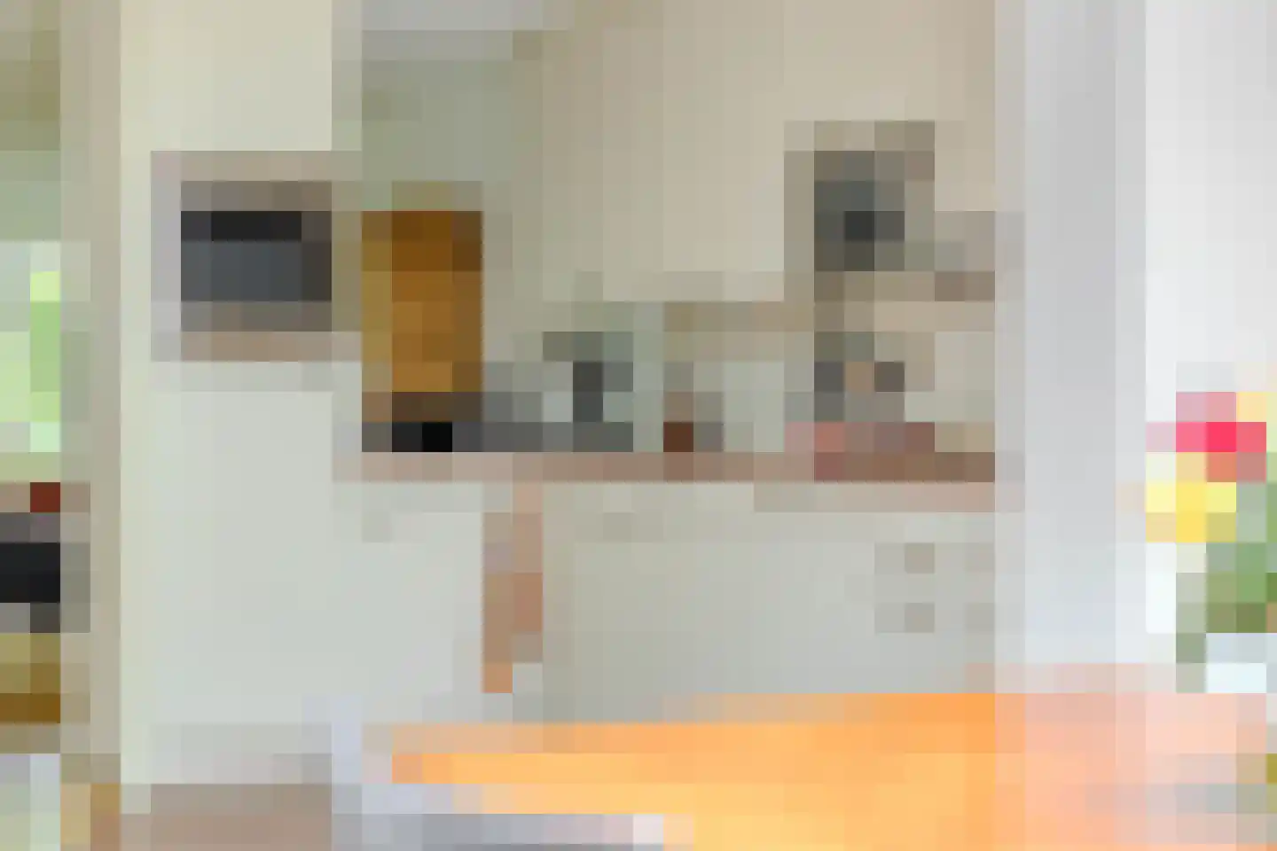Markeweg 7 Glimmen thumbnail 18