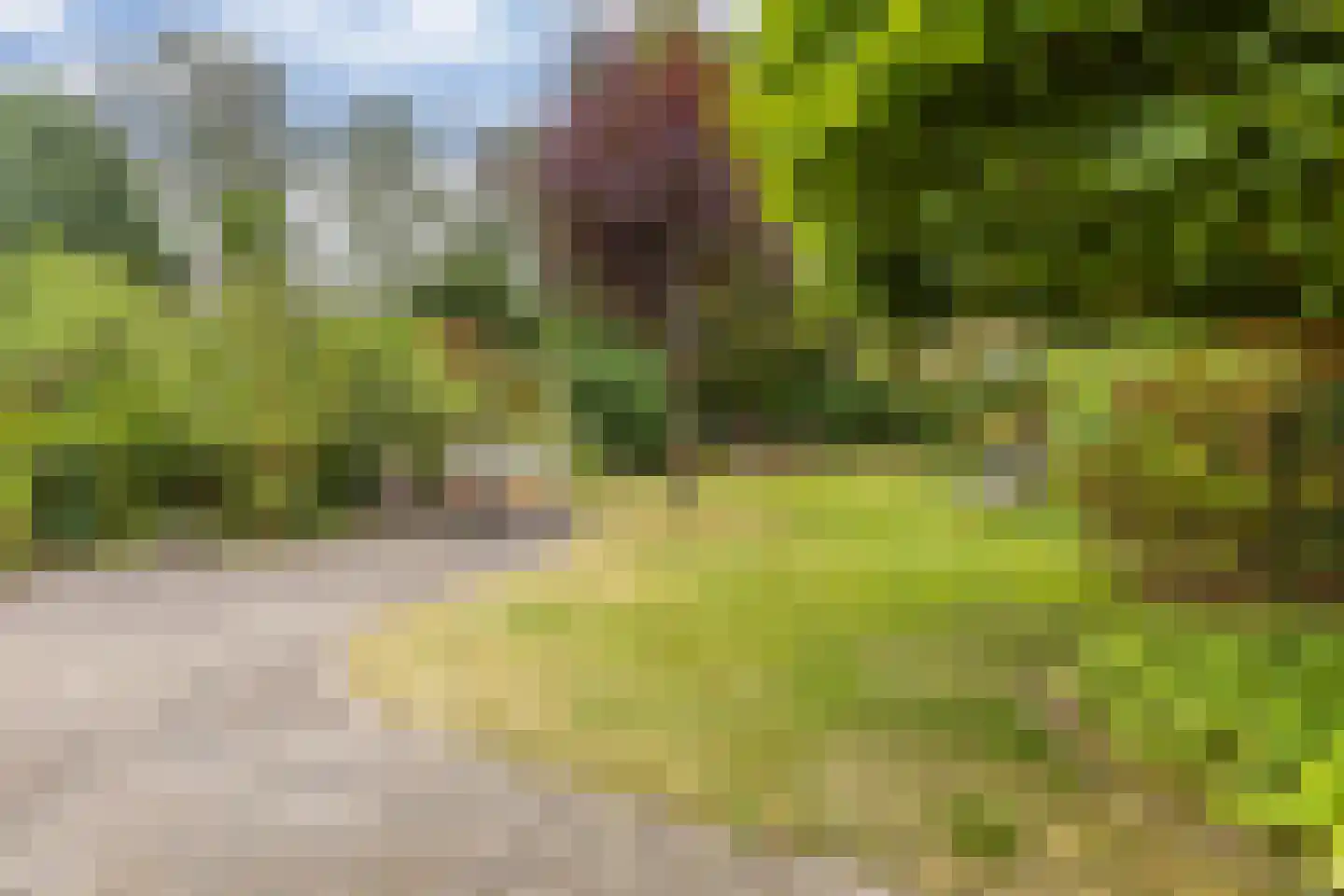 Markeweg 7 Glimmen thumbnail 37