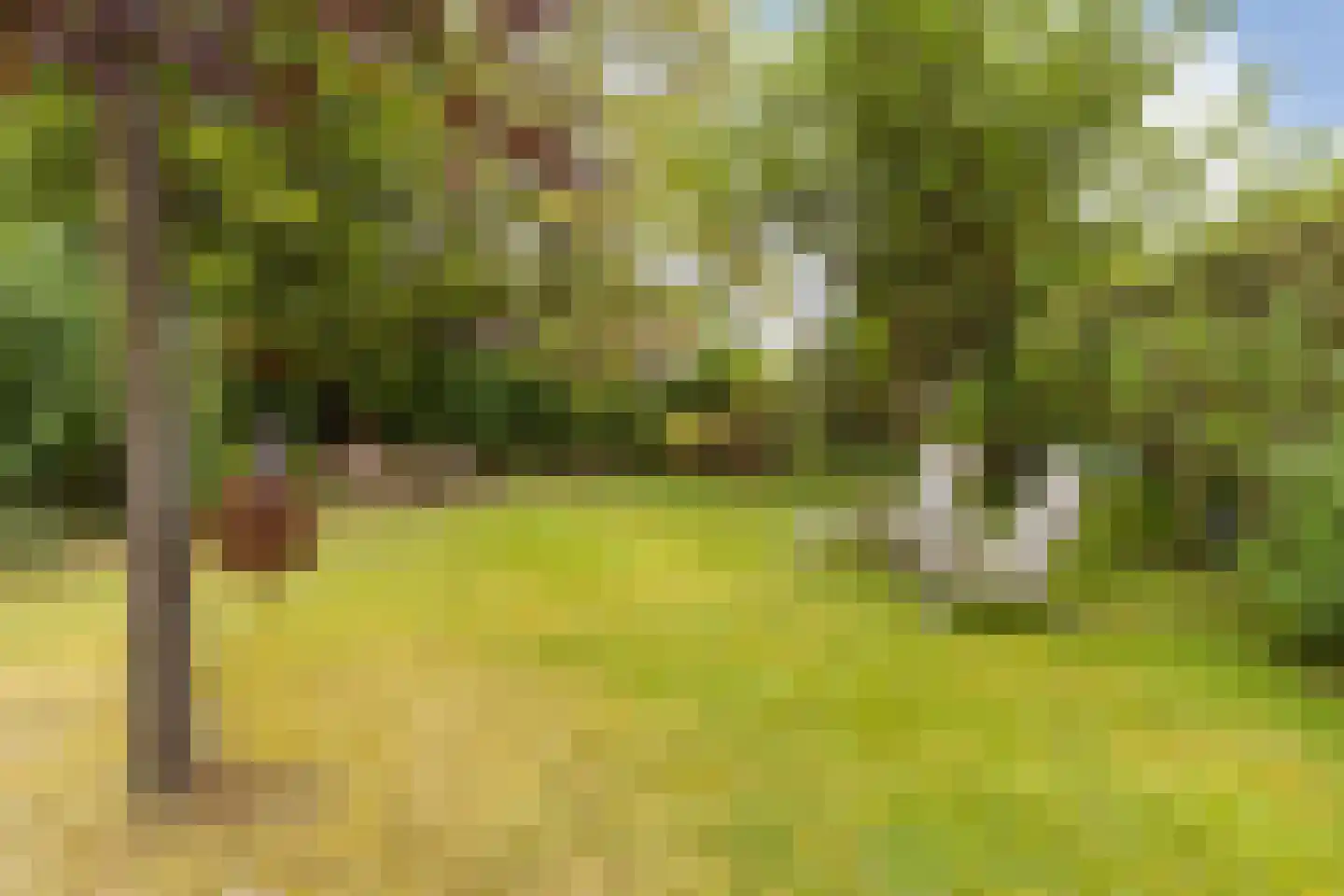 Markeweg 7 Glimmen thumbnail 38