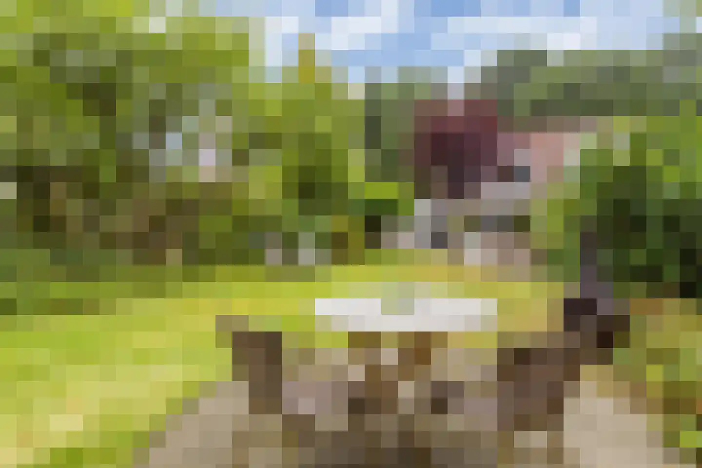 Markeweg 7 Glimmen thumbnail 39