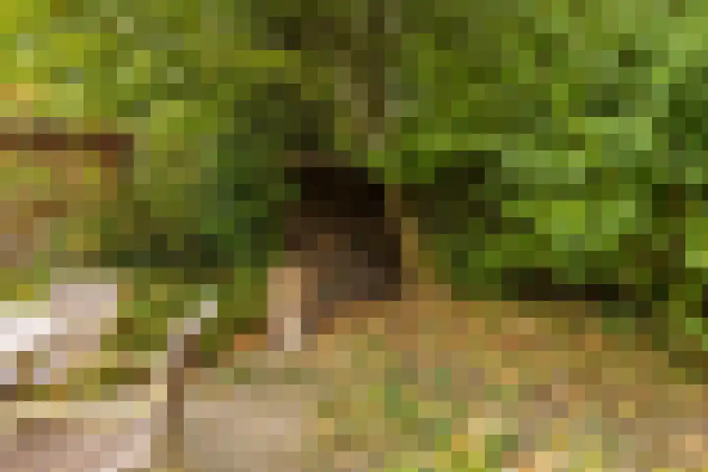 Markeweg 7 Glimmen thumbnail 40