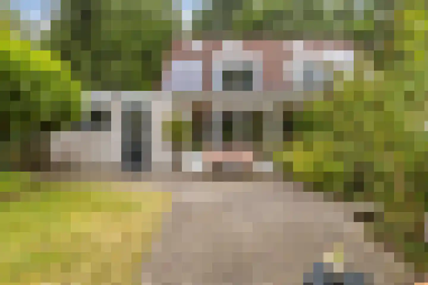 Markeweg 7 Glimmen thumbnail 41