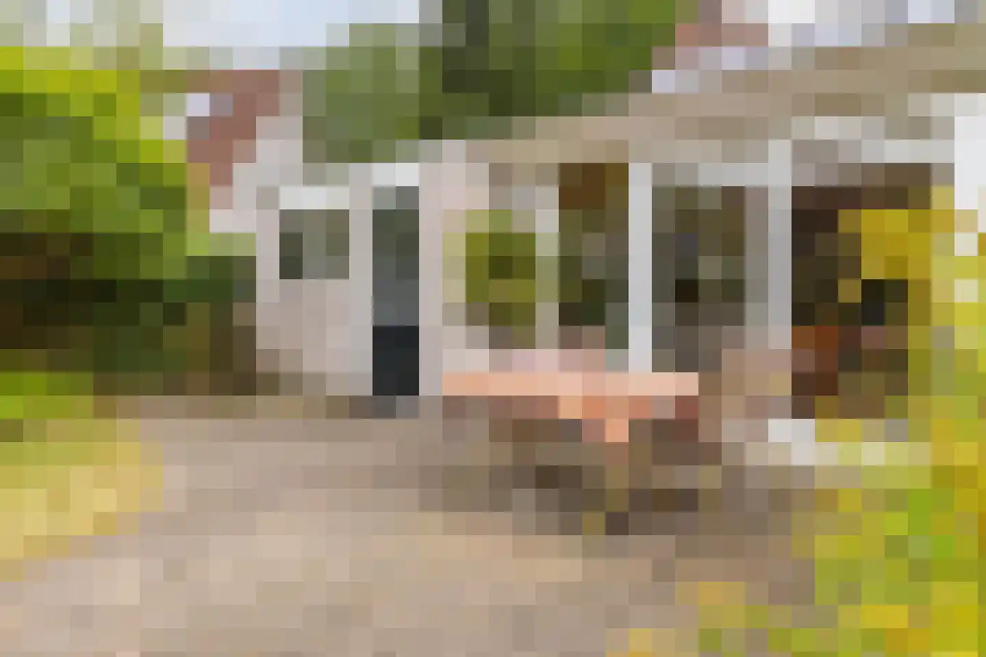 Markeweg 7 Glimmen thumbnail 42