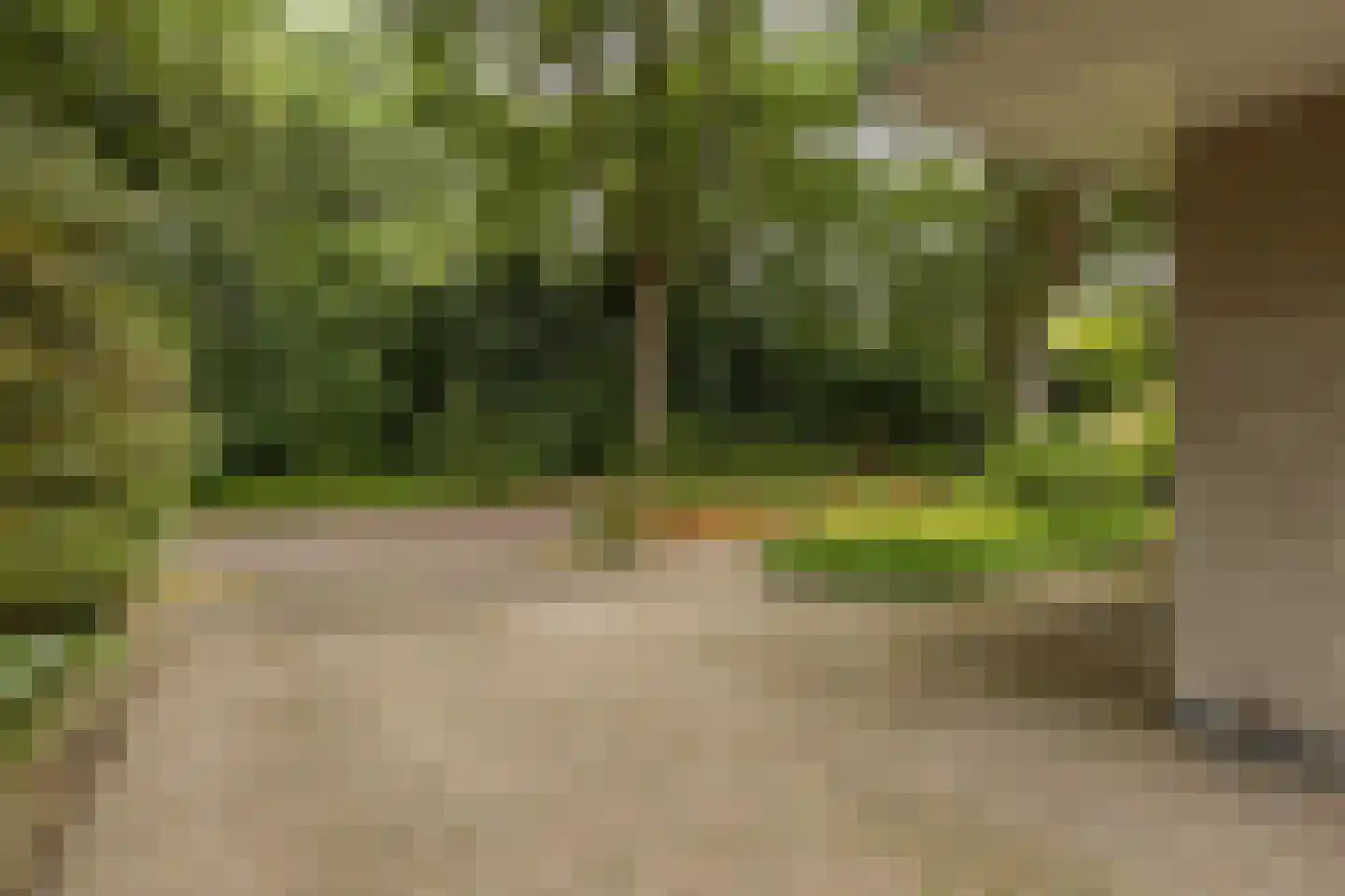 Markeweg 7 Glimmen thumbnail 43