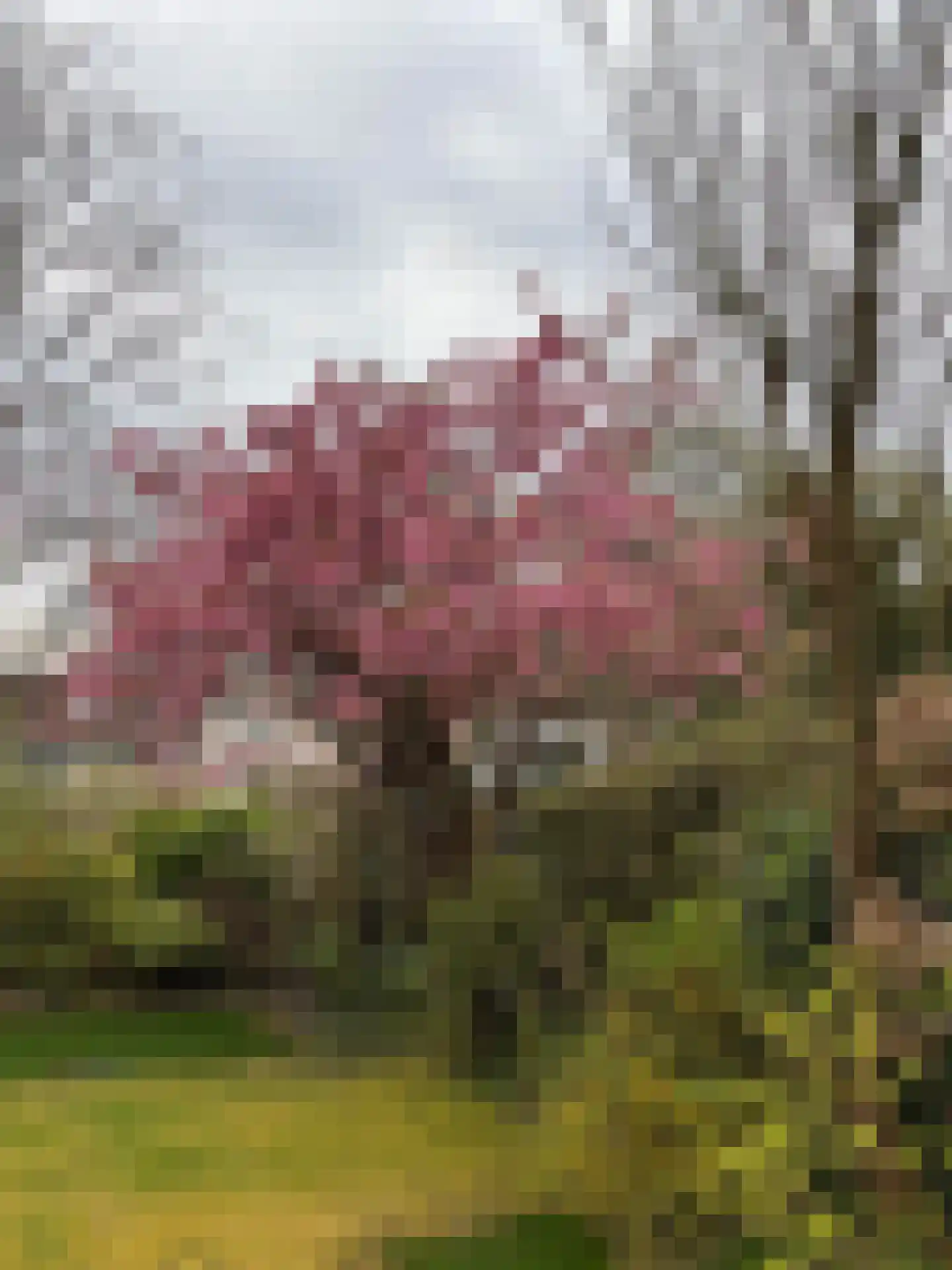 Markeweg 7 Glimmen thumbnail 44