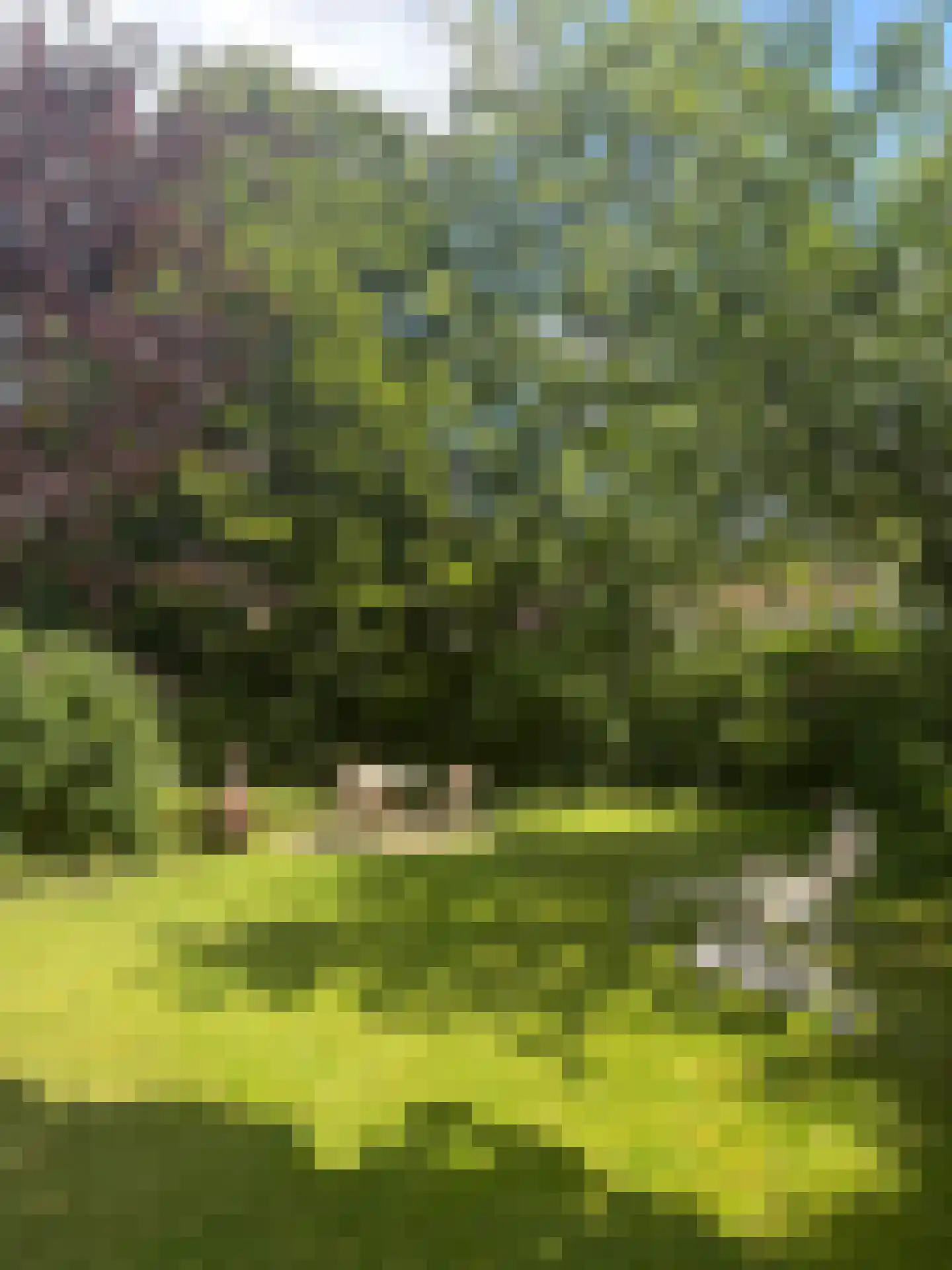 Markeweg 7 Glimmen thumbnail 45