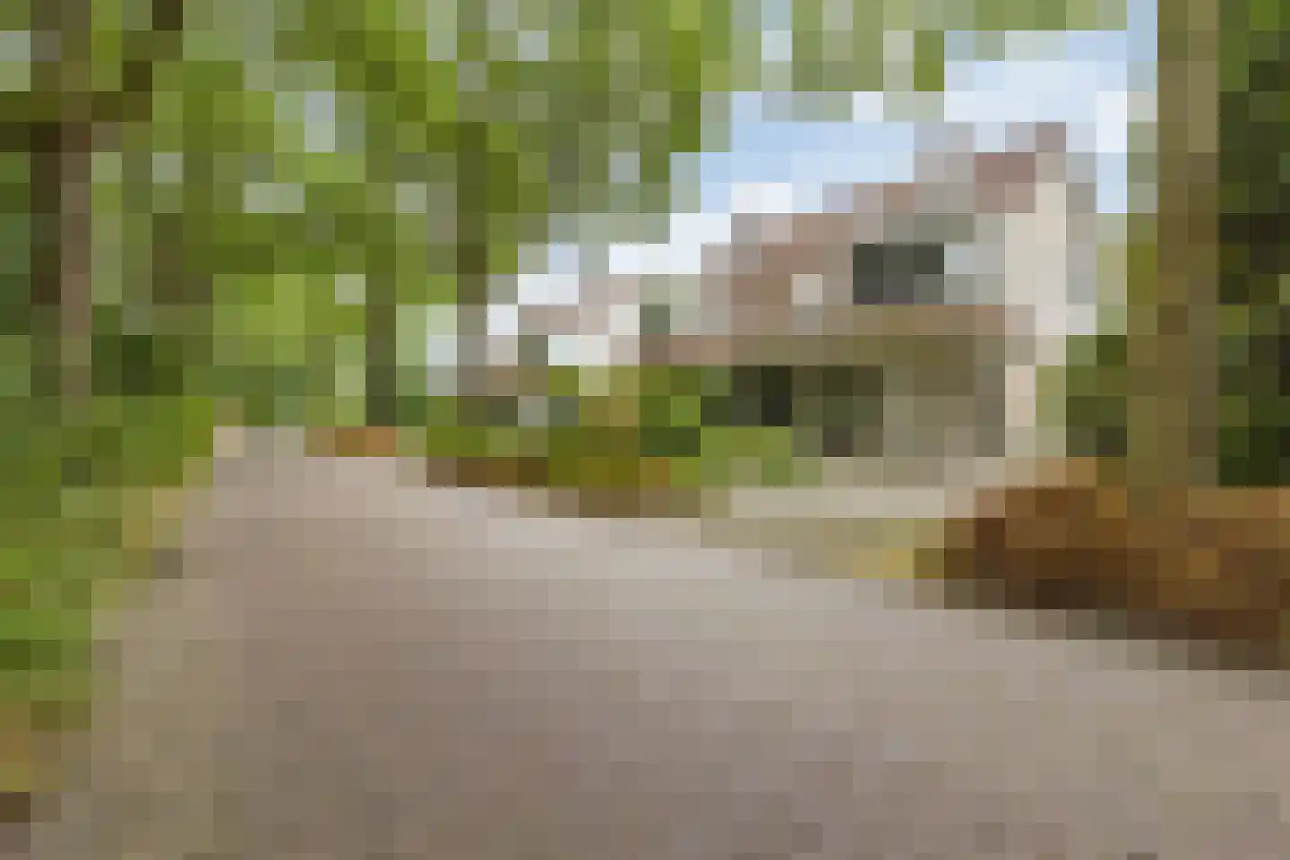 Markeweg 7 Glimmen thumbnail 5