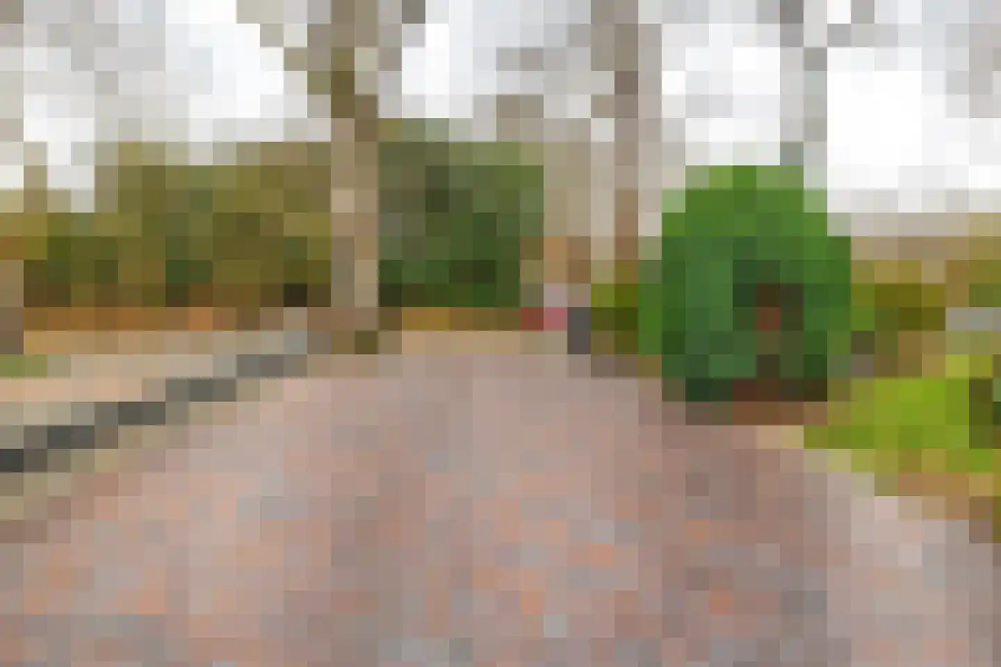 Markeweg 7 Valthermond thumbnail 14
