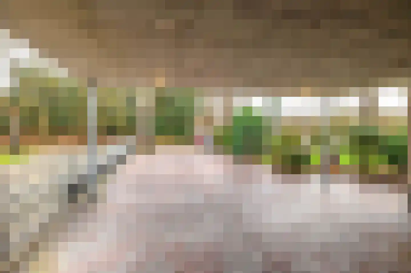Markeweg 7 Valthermond thumbnail 15