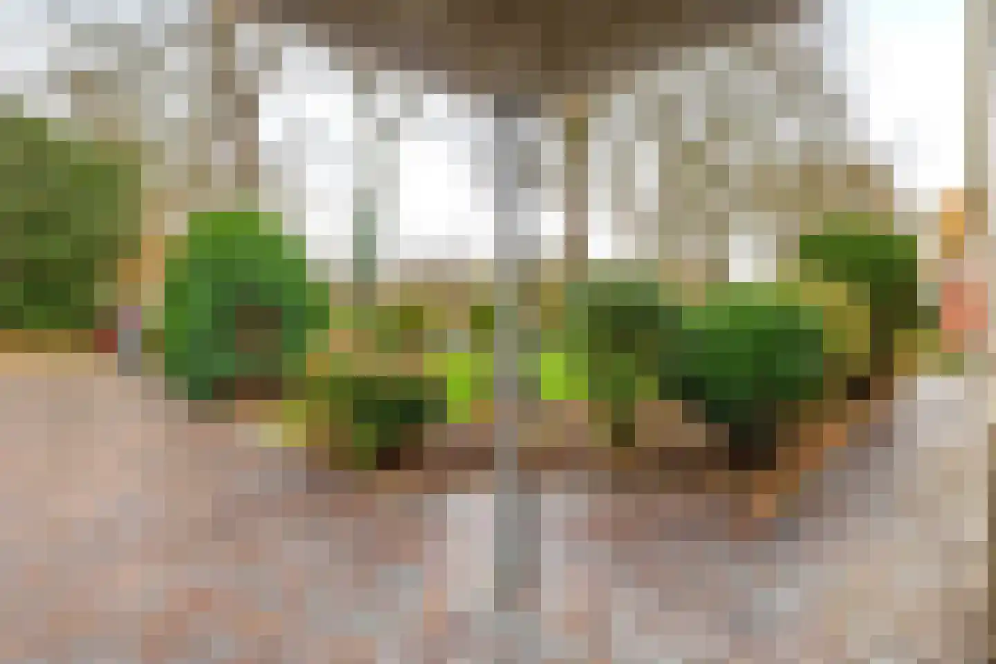 Markeweg 7 Valthermond thumbnail 16