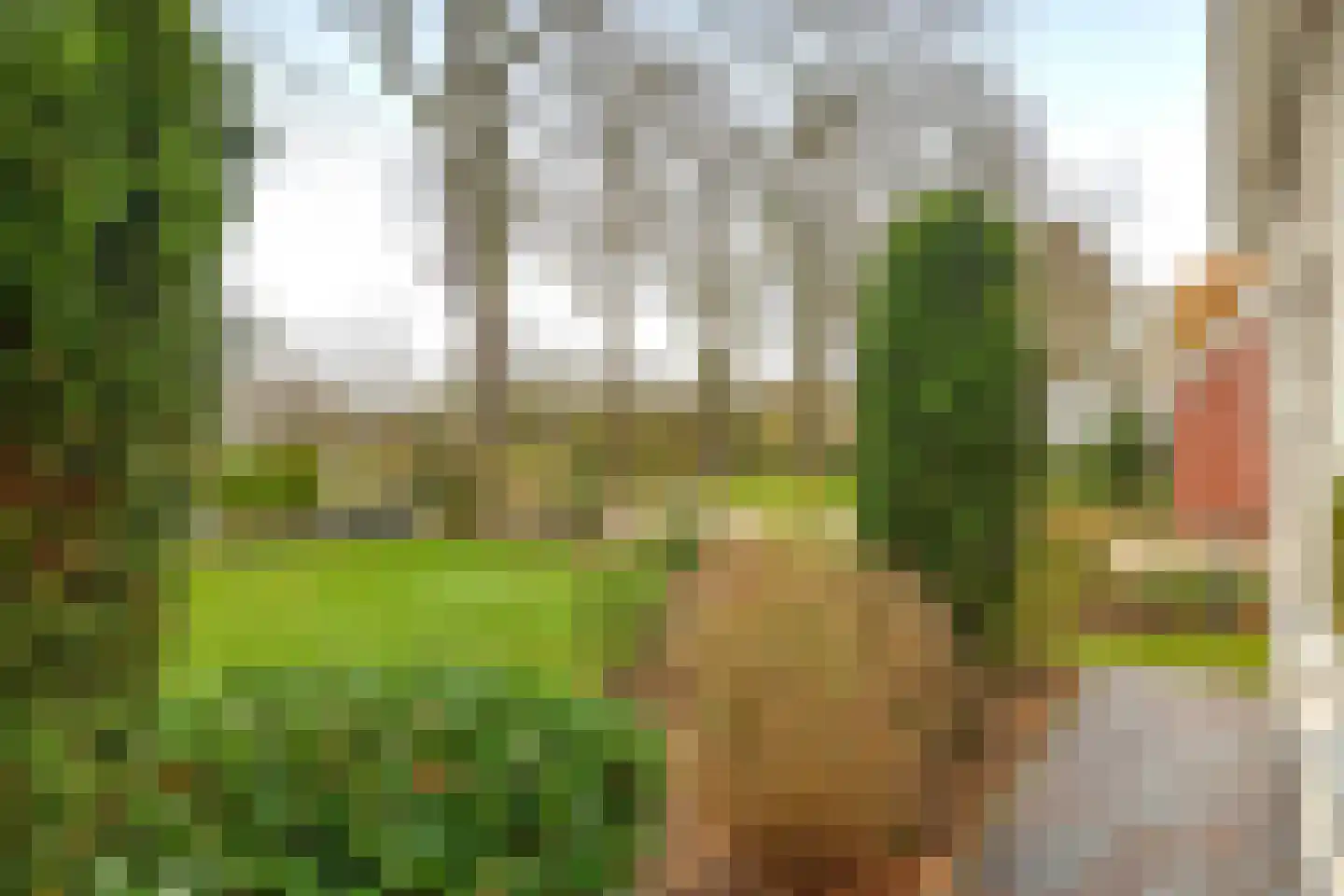Markeweg 7 Valthermond thumbnail 17