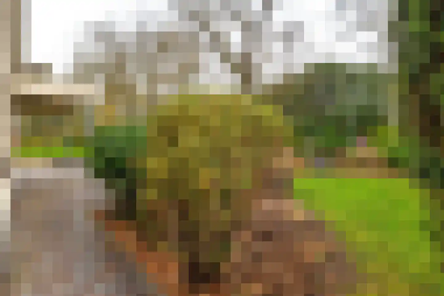 Markeweg 7 Valthermond thumbnail 18