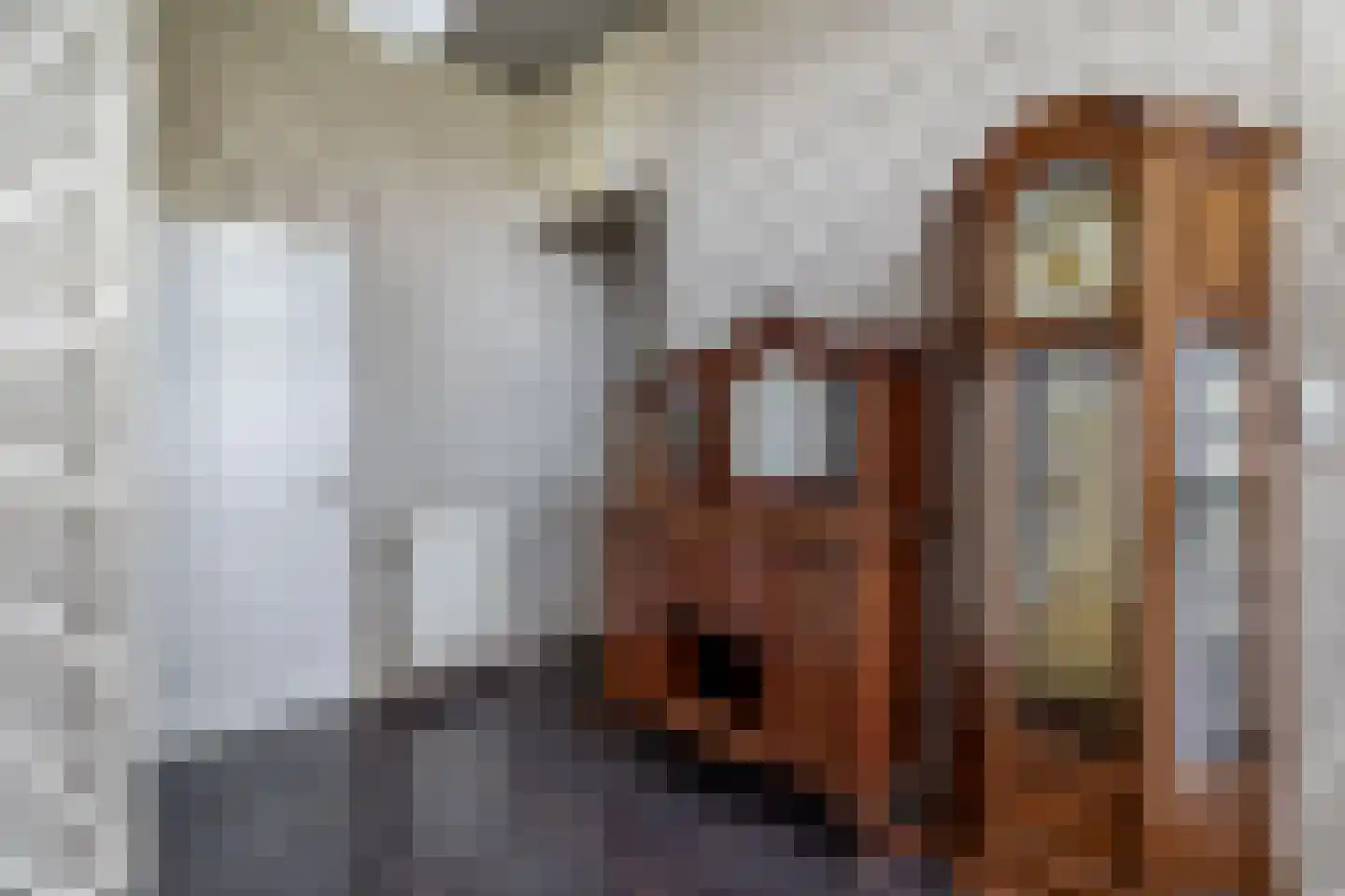 Markeweg 7 Valthermond thumbnail 21