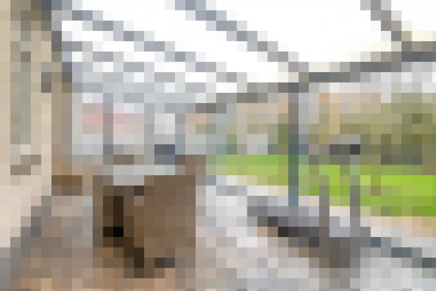 Markeweg 7 Valthermond thumbnail 43