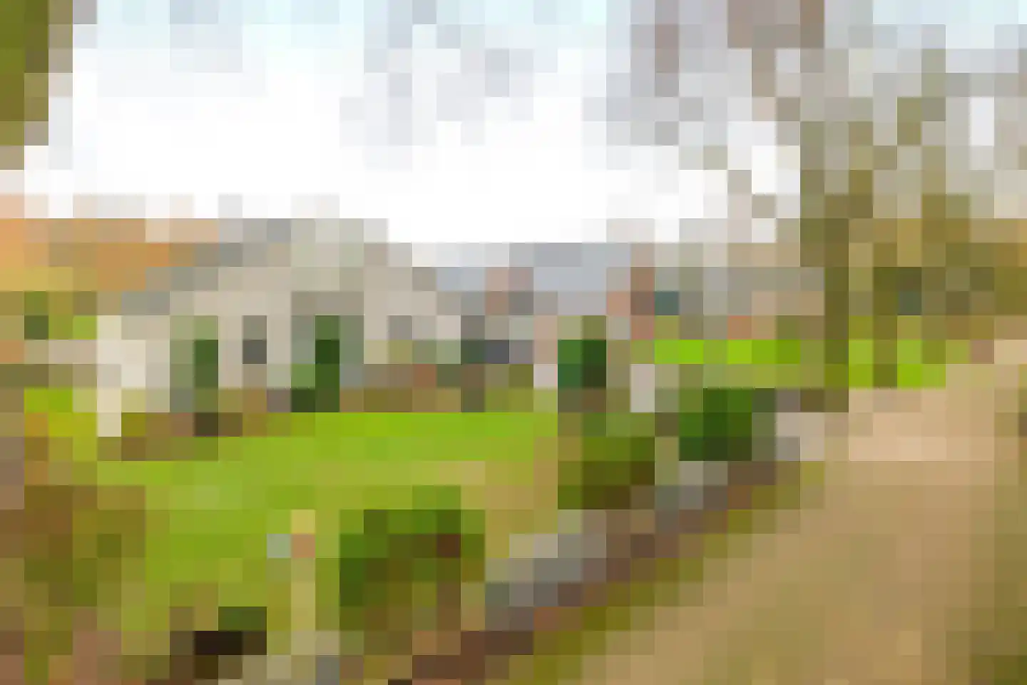 Markeweg 7 Valthermond thumbnail 5