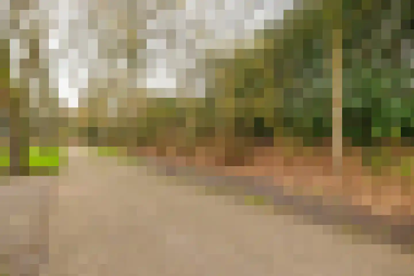 Markeweg 7 Valthermond thumbnail 67