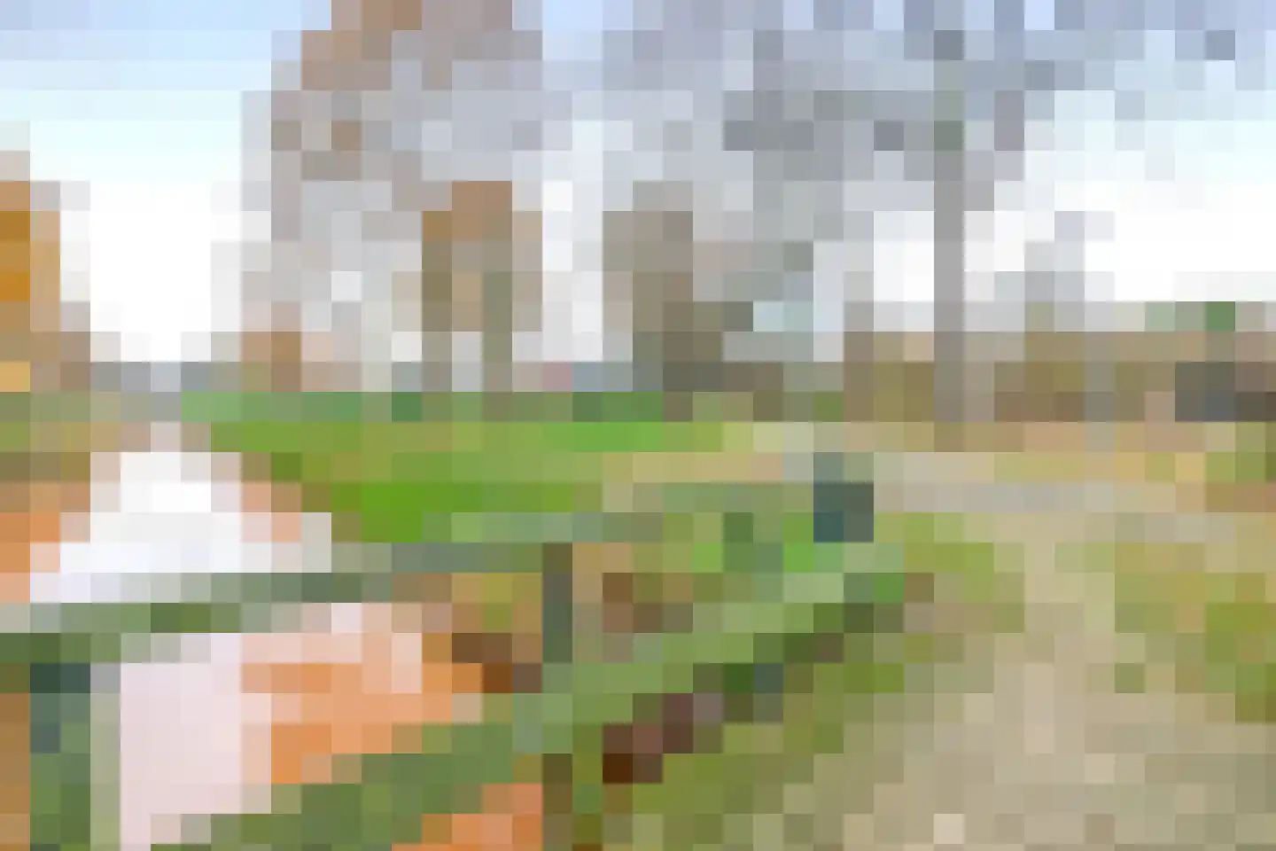 Markeweg 7 Valthermond thumbnail 70