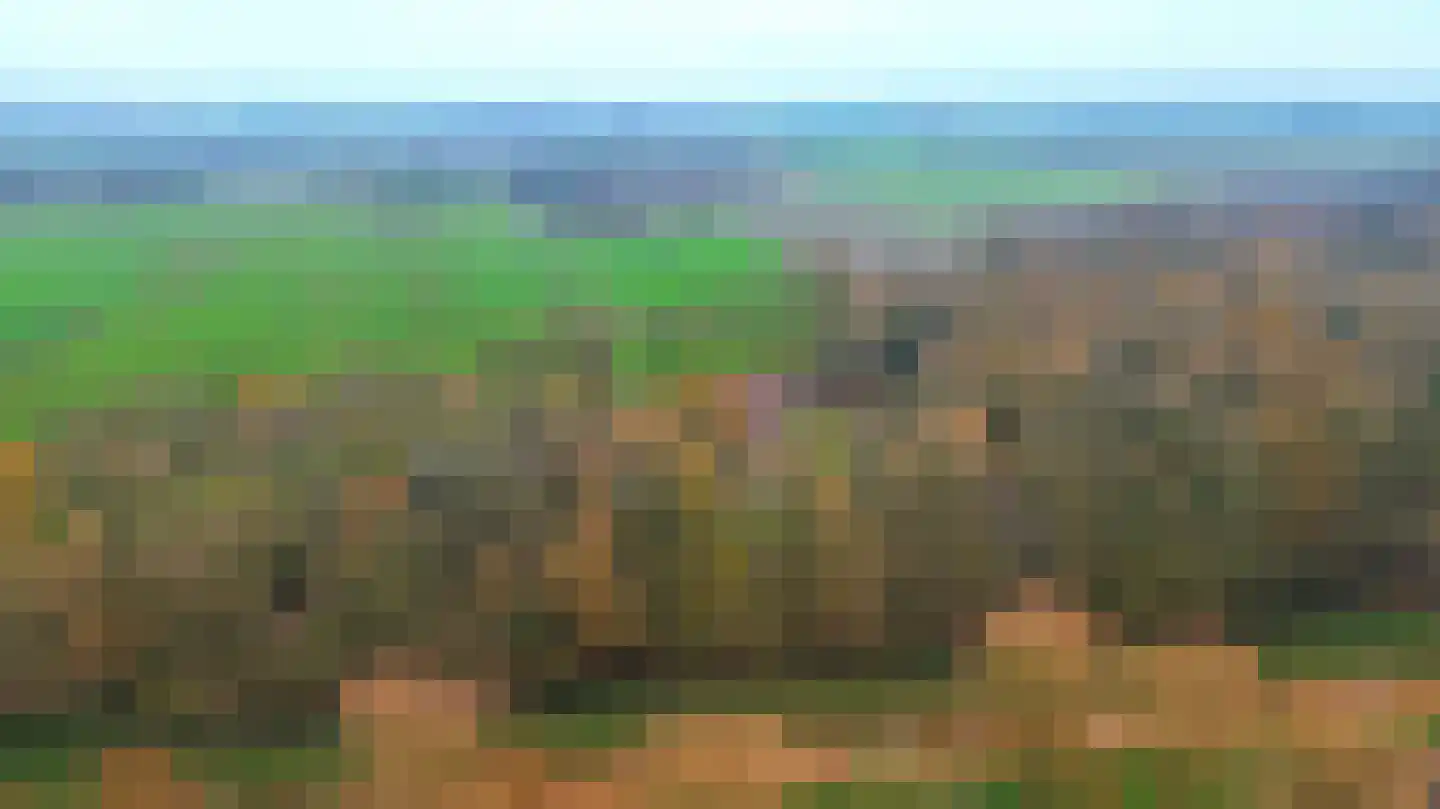 Markeweg 7 Valthermond thumbnail 77
