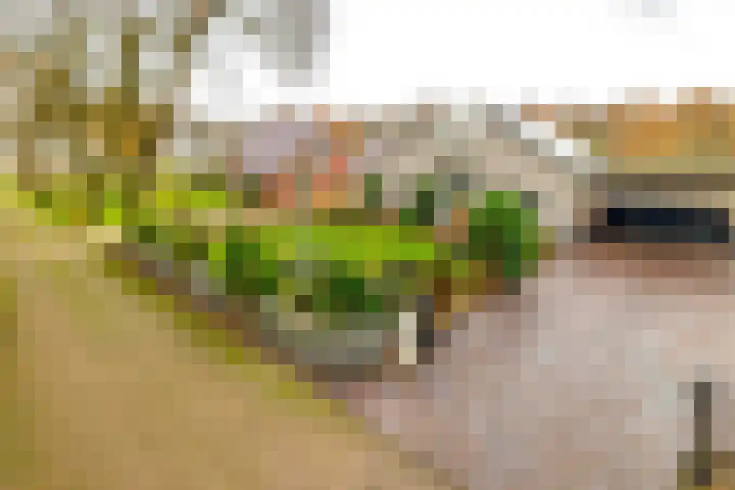 Markeweg 7 Valthermond thumbnail 9