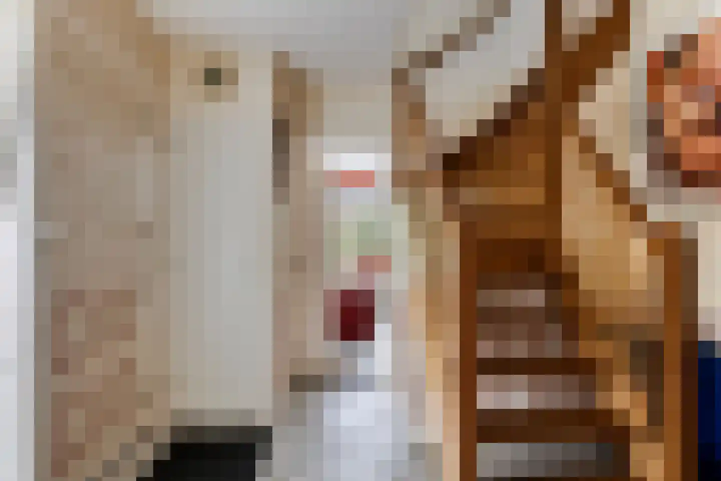 Markeweg 76 Blesdijke thumbnail 24