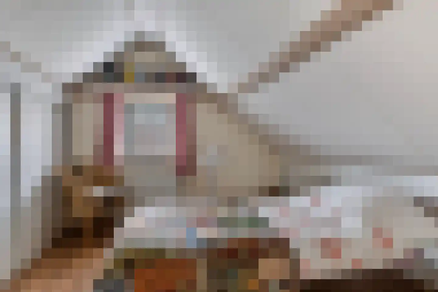 Markeweg 76 Blesdijke thumbnail 29