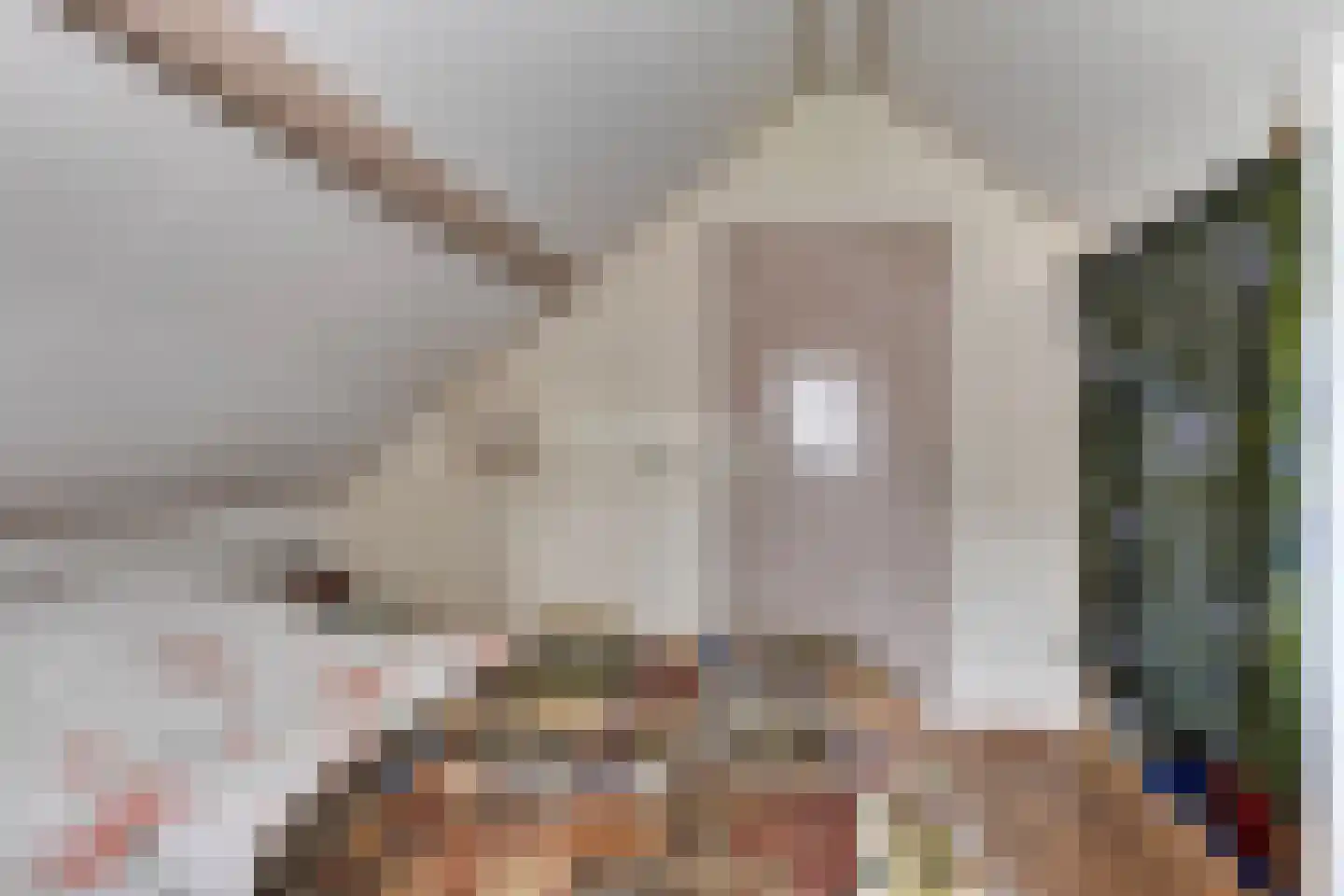 Markeweg 76 Blesdijke thumbnail 30