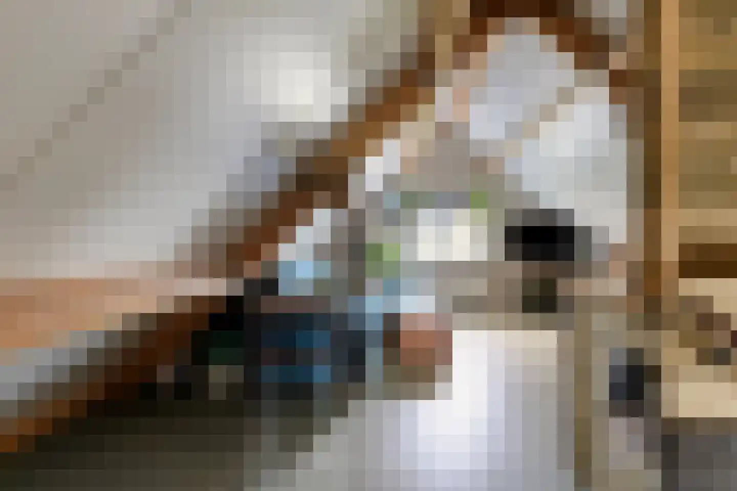 Markeweg 76 Blesdijke thumbnail 37