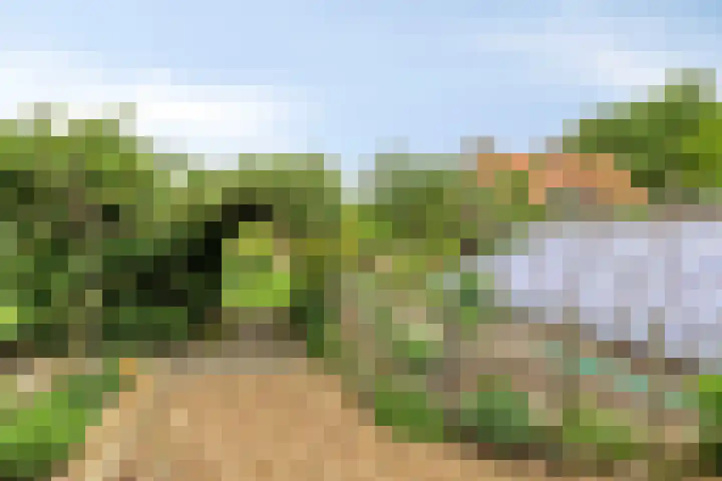 Markeweg 76 Blesdijke thumbnail 52