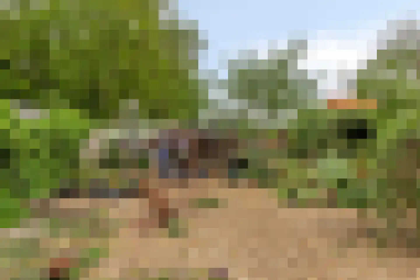 Markeweg 76 Blesdijke thumbnail 53