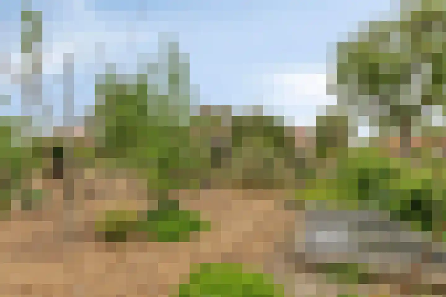 Markeweg 76 Blesdijke thumbnail 54