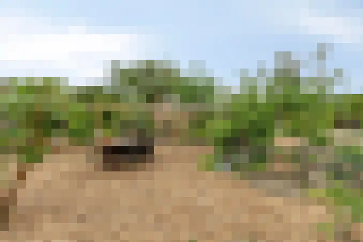Markeweg 76 Blesdijke thumbnail 55