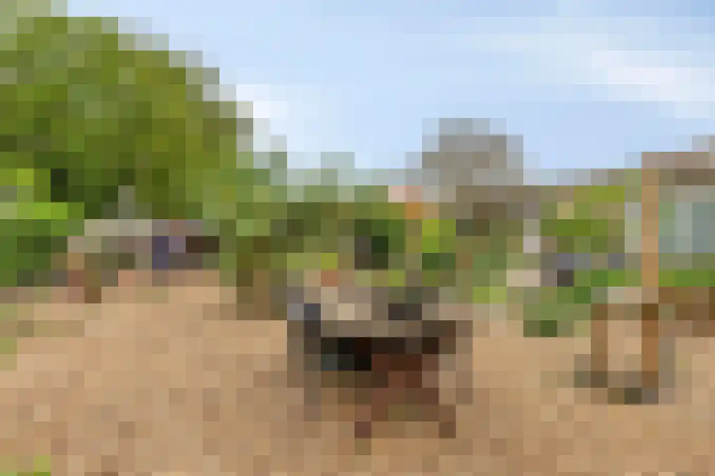 Markeweg 76 Blesdijke thumbnail 56