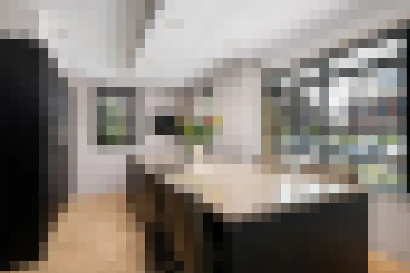 Markgraaf 1 Zevenhuizen thumbnail 15