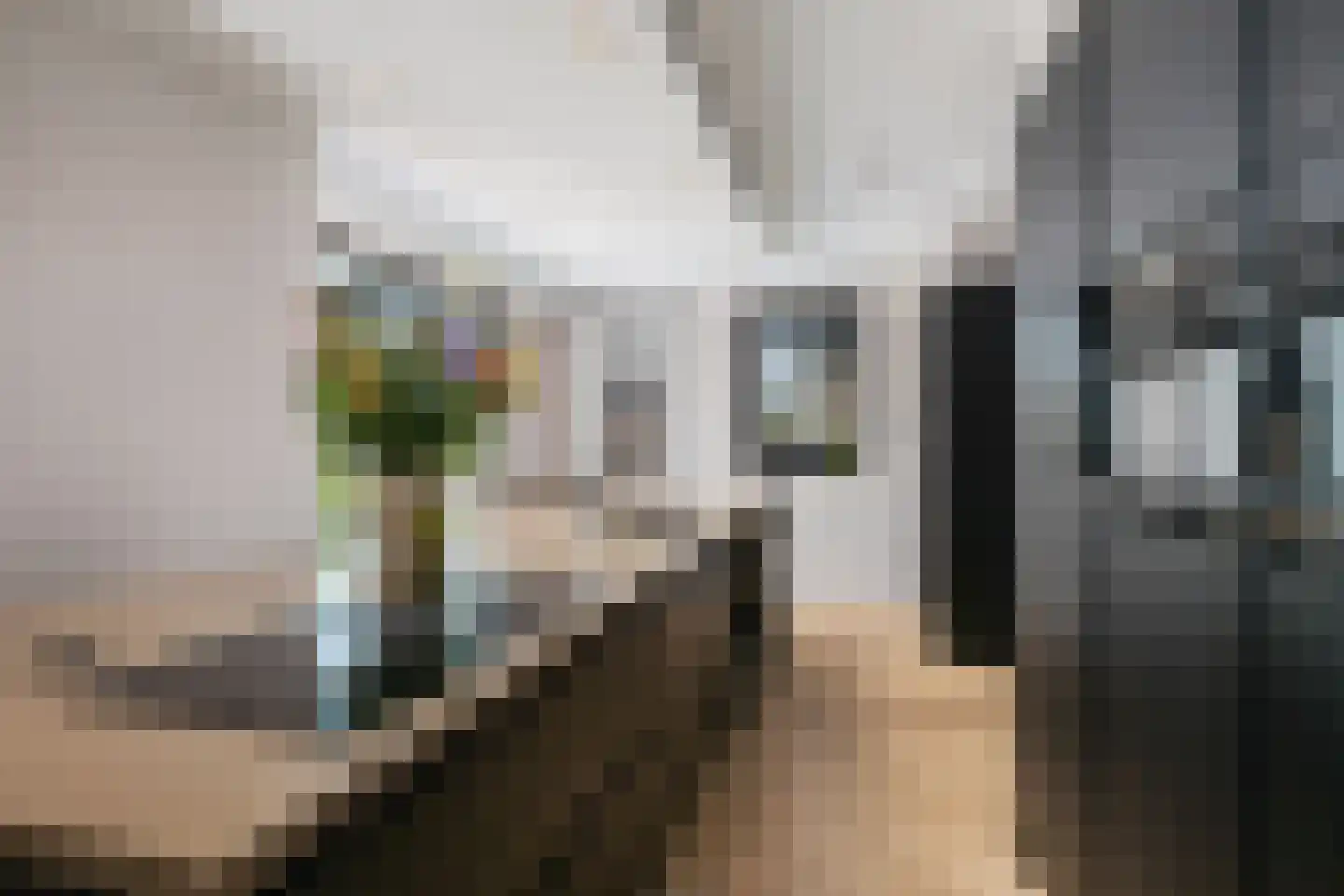 Markgraaf 1 Zevenhuizen thumbnail 17