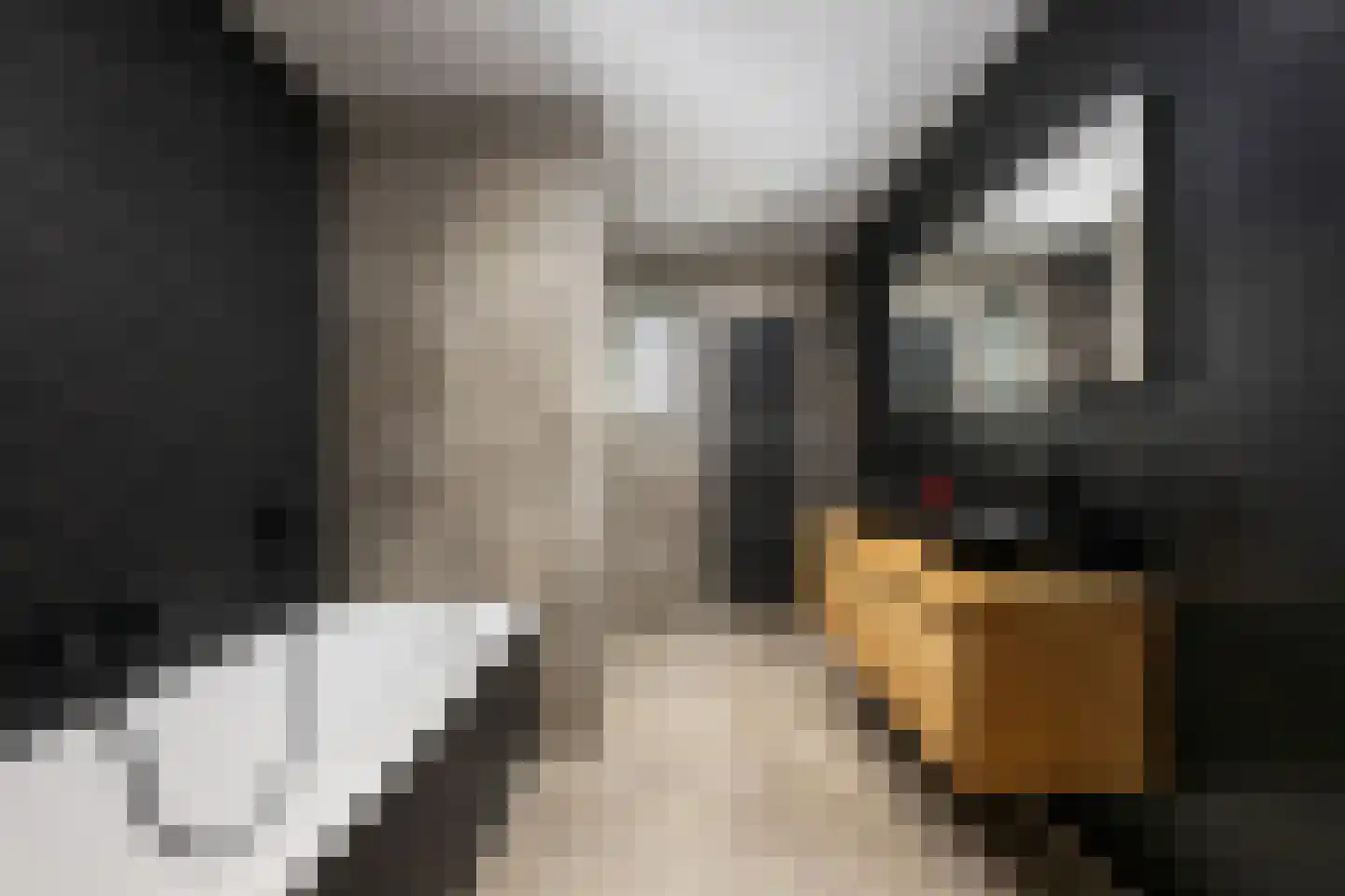 Markgraaf 1 Zevenhuizen thumbnail 27