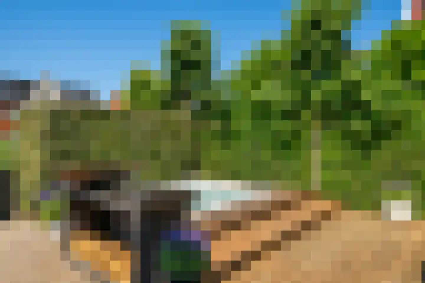 Markgraaf 1 Zevenhuizen thumbnail 40
