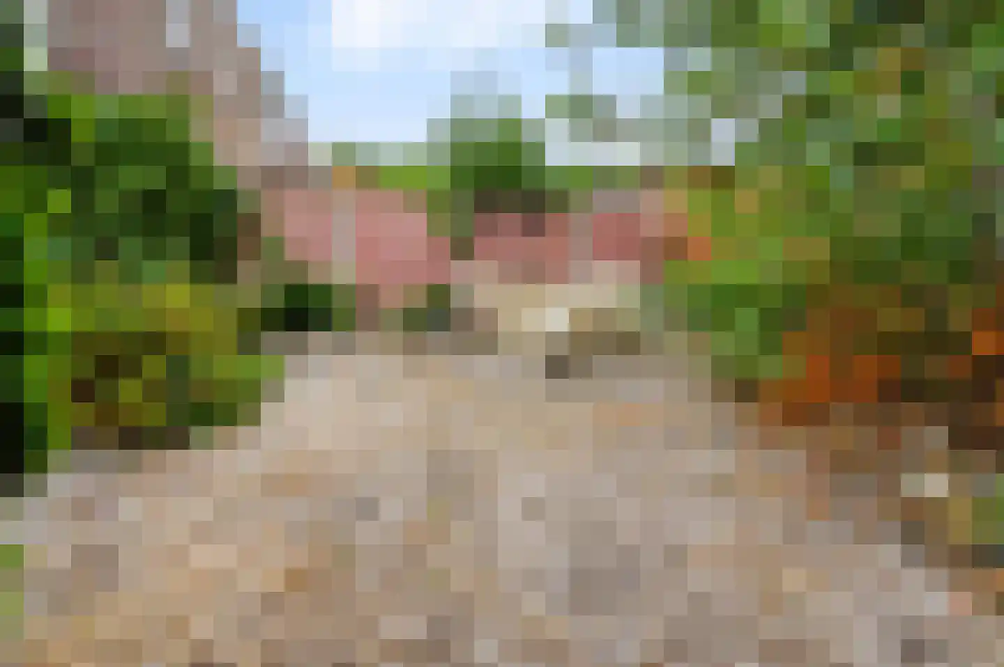 Markgraaflaan 1 Vlaardingen thumbnail 19
