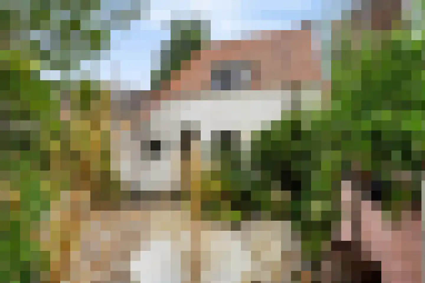 Markgraaflaan 1 Vlaardingen thumbnail 21