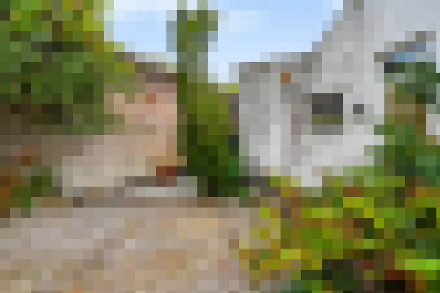 Markgraaflaan 1 Vlaardingen thumbnail 22