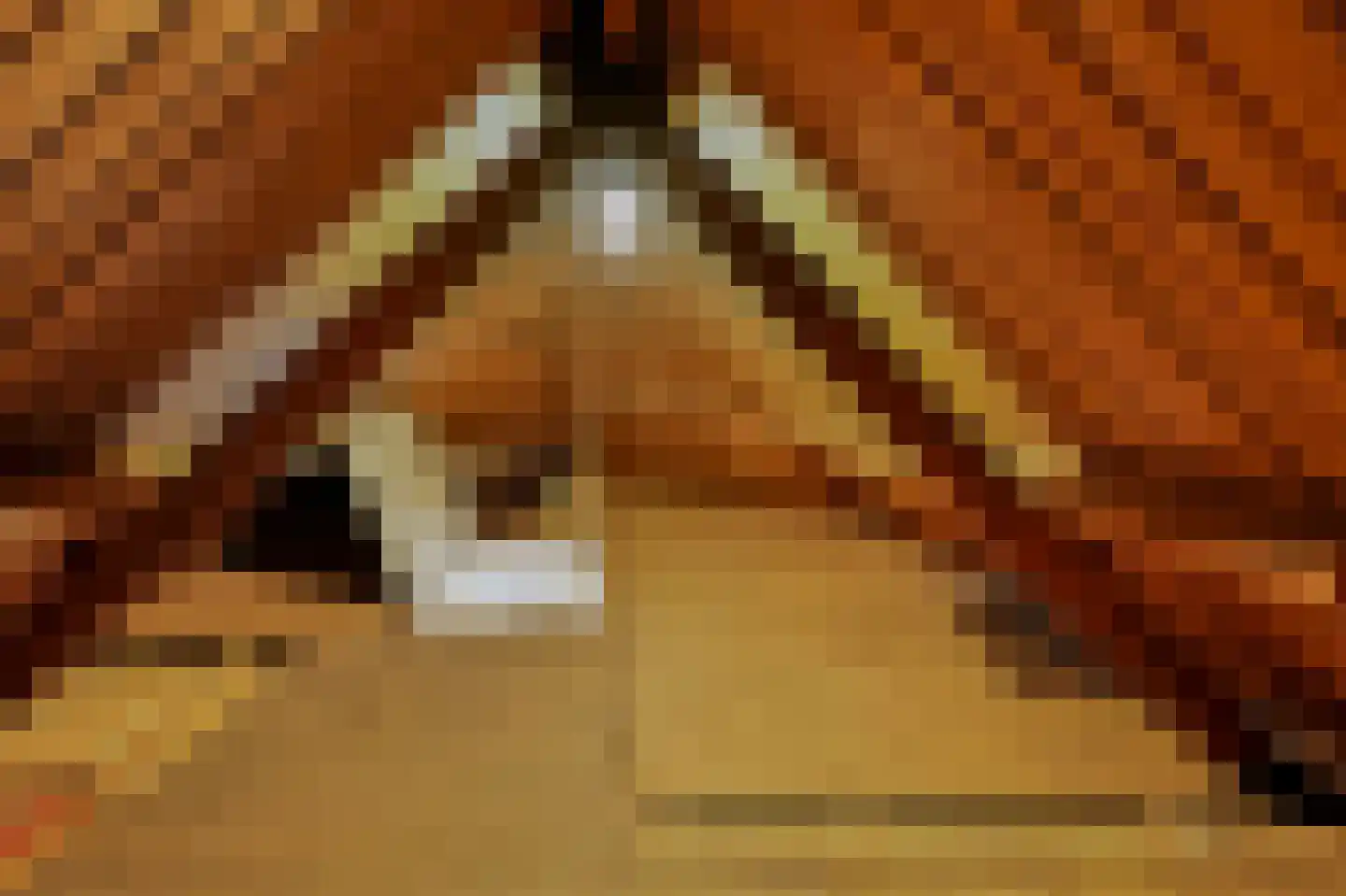 Markgraaflaan 1 Vlaardingen thumbnail 42