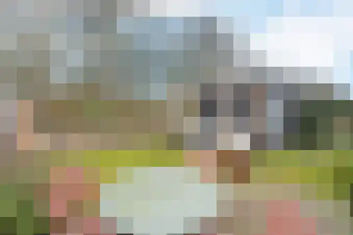 Markgraaflaan 109 Den Haag thumbnail 15