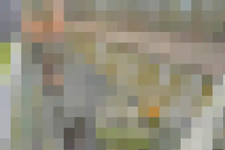 Markgraaflaan 109 Den Haag thumbnail 19