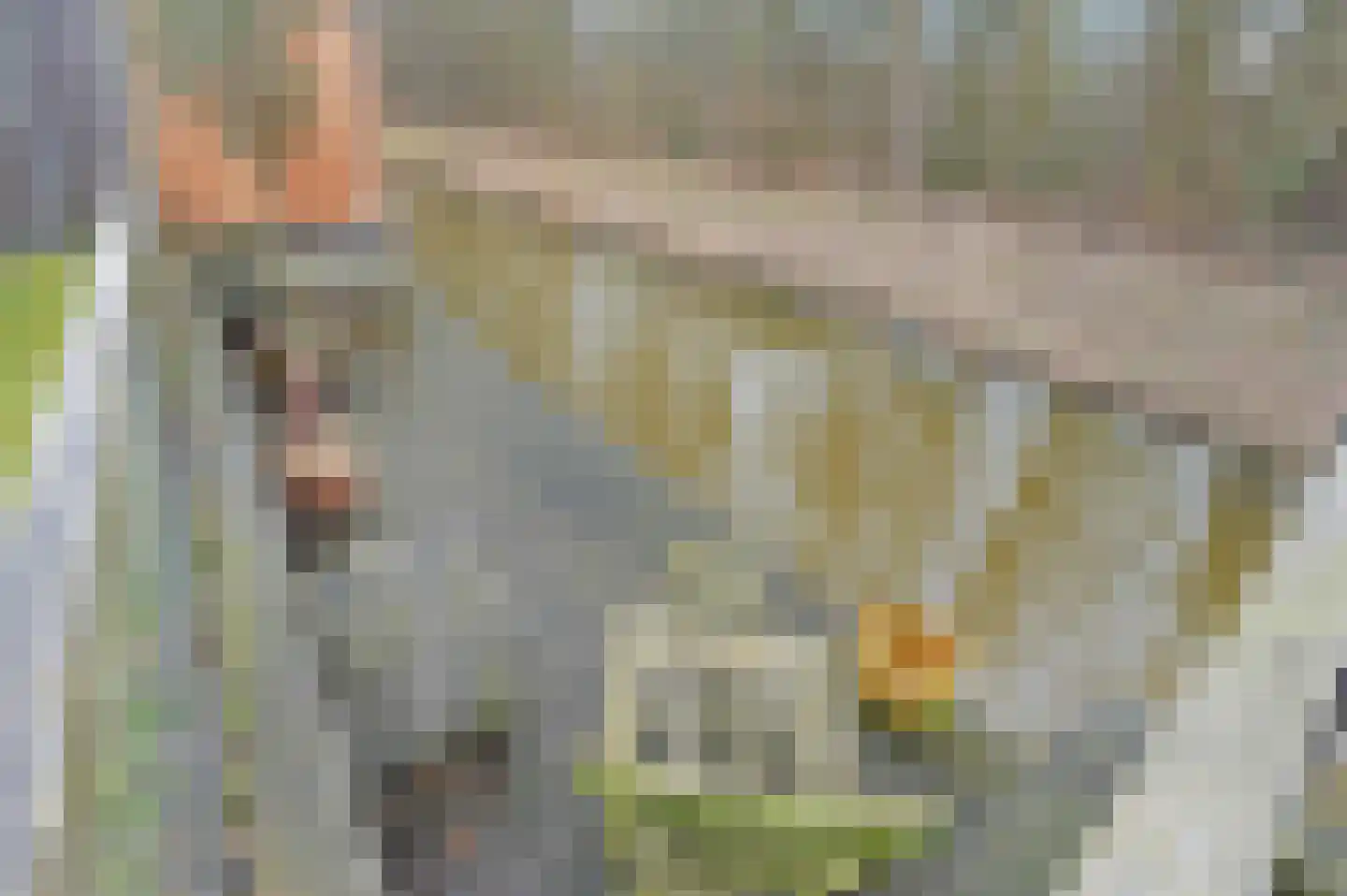 Markgraaflaan 109 Den Haag thumbnail 19