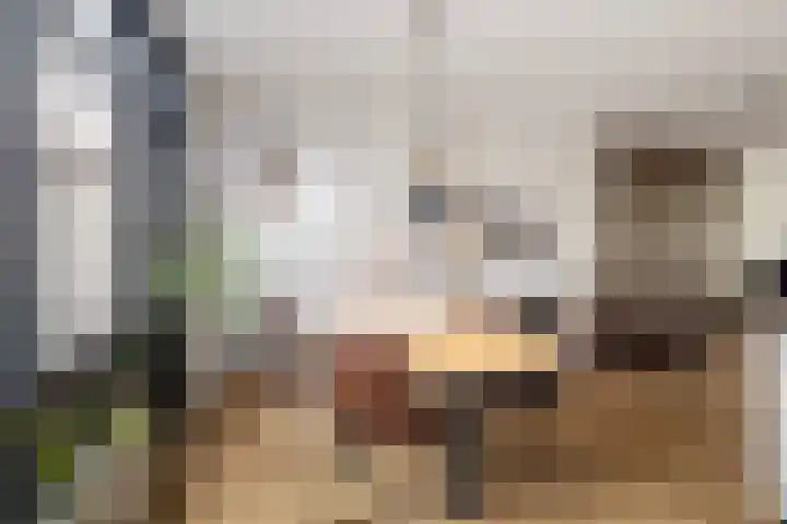 Markgraaflaan 115 Vlaardingen thumbnail 14