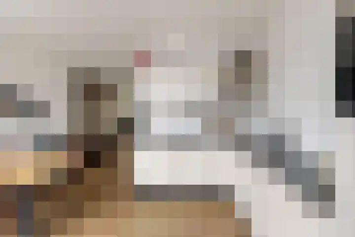 Markgraaflaan 115 Vlaardingen thumbnail 15