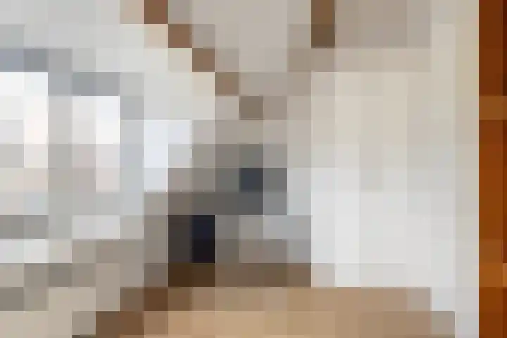 Markgraaflaan 115 Vlaardingen thumbnail 25