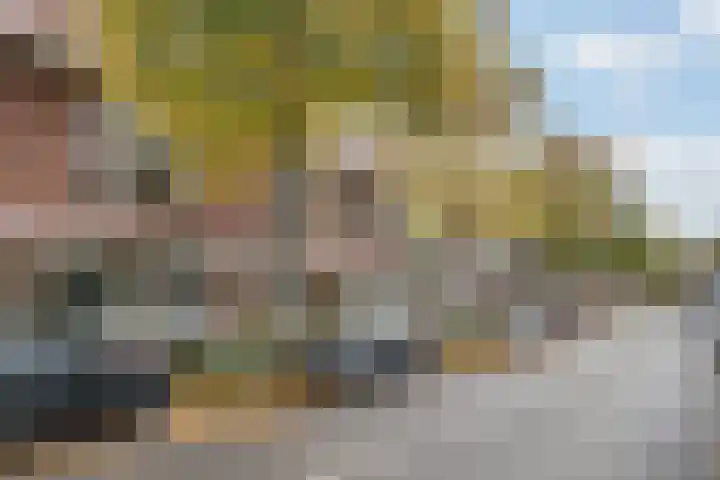 Markgraaflaan 115 Vlaardingen thumbnail 30